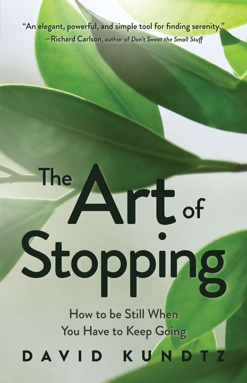Book cover of The Art of Stopping: How to be Still When You Have to Keep Going