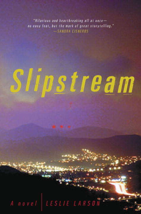 Book cover of Slipstream