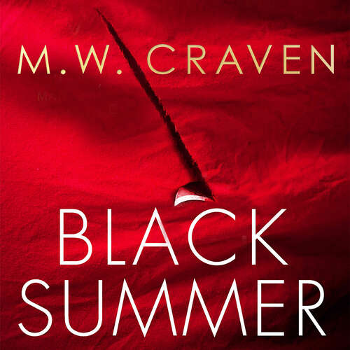 Book cover of Black Summer (Washington Poe #2)
