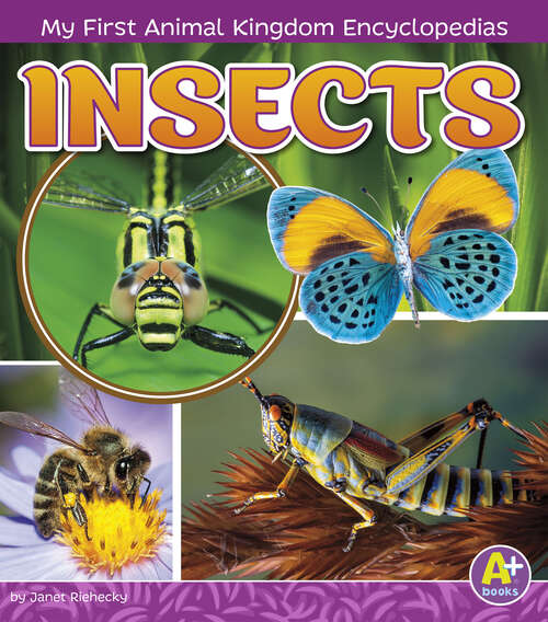Book cover of Insects (My First Animal Kingdom Encyclopedias Ser.)