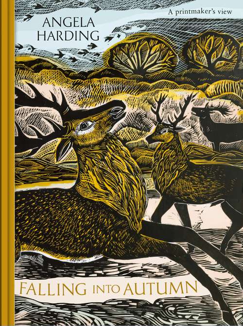 Book cover of Falling into Autumn: part of a beautiful new series from beloved illustrator and print-maker Angela Harding