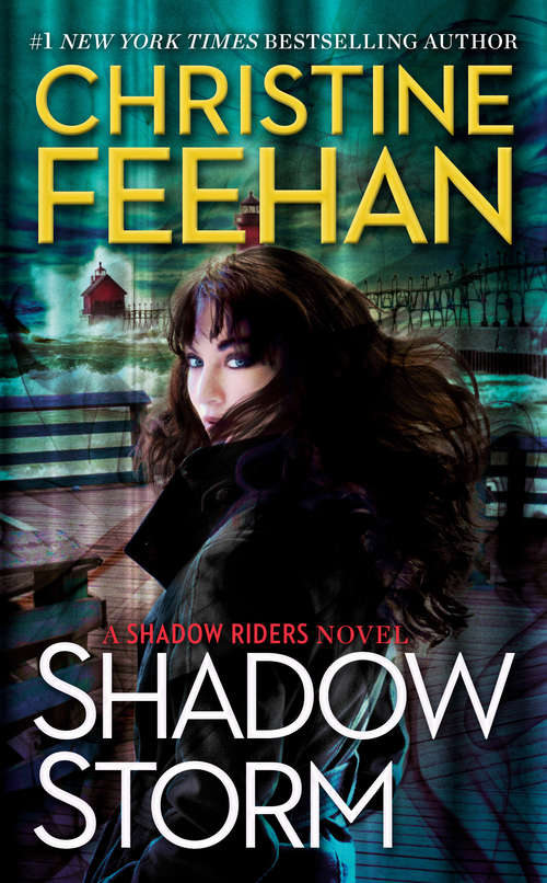 Book cover of Shadow Storm (A Shadow Riders Novel #6)