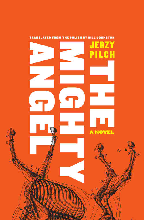 Book cover of The Mighty Angel