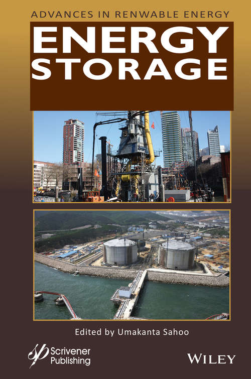 Book cover of Energy Storage (Advances In Renewable Energy Ser.)
