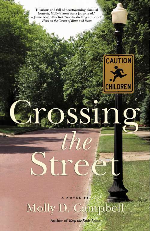 Book cover of Crossing the Street: A Novel