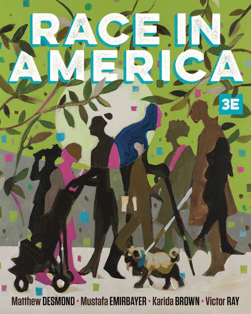 Book cover of Race in America (Third Edition) (Third Edition)
