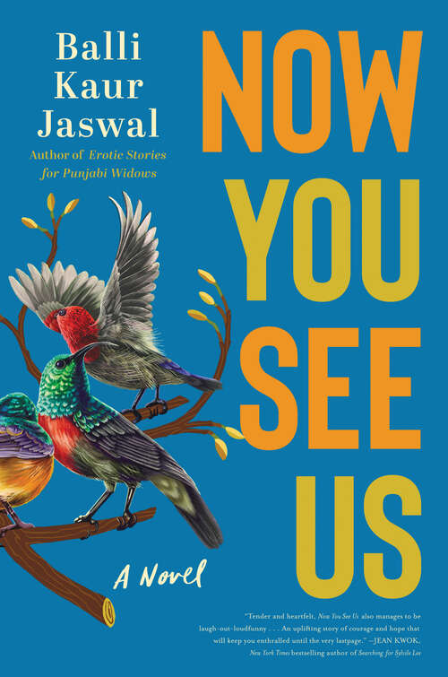 Book cover of Now You See Us: A Novel
