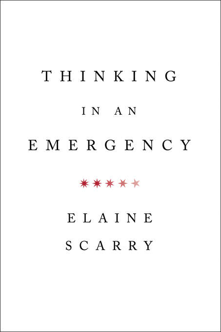 Cover image of Thinking in an Emergency (Norton Global Ethics Series)