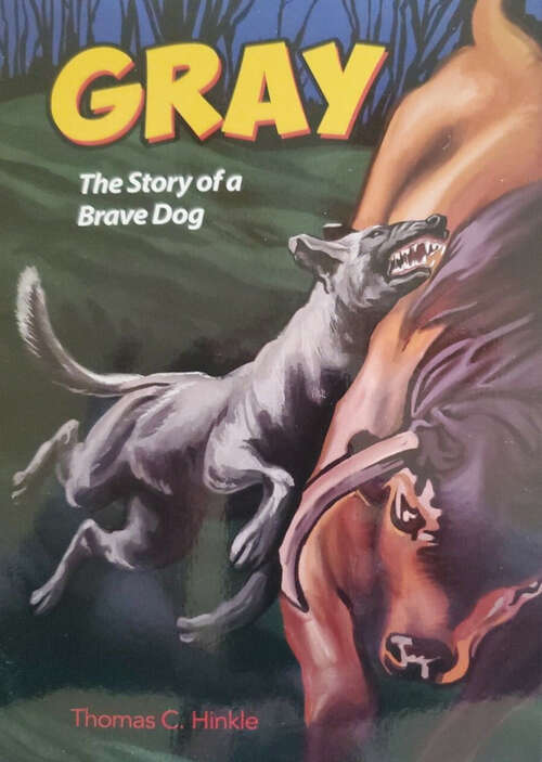 Book cover of Gray: The Story of a Brave Dog
