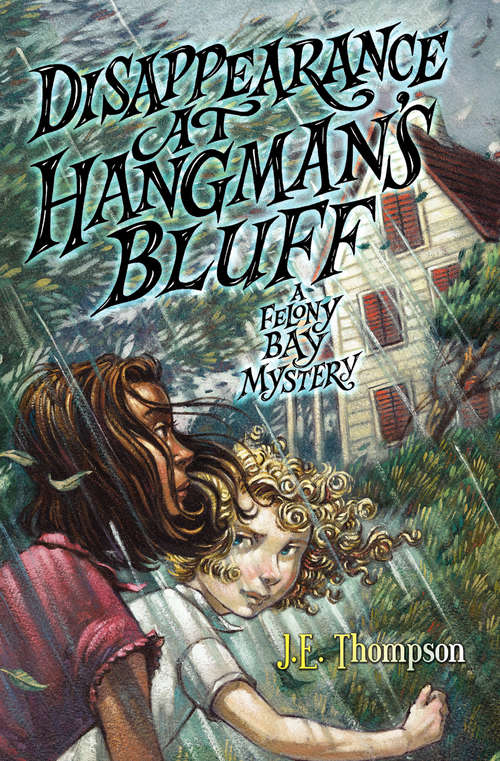 Book cover of Disappearance at Hangman's Bluff: A Felony Bay Mystery