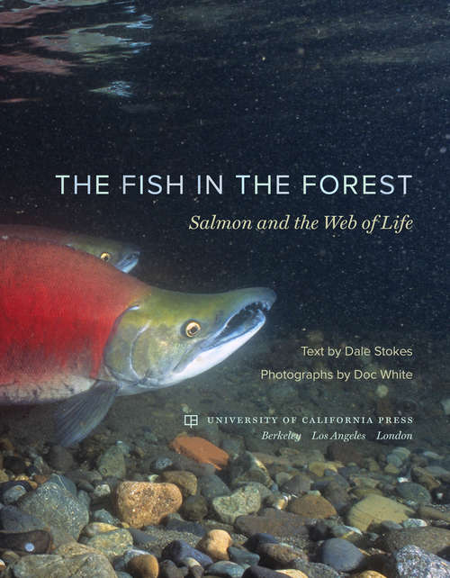 Book cover of The Fish in the Forest