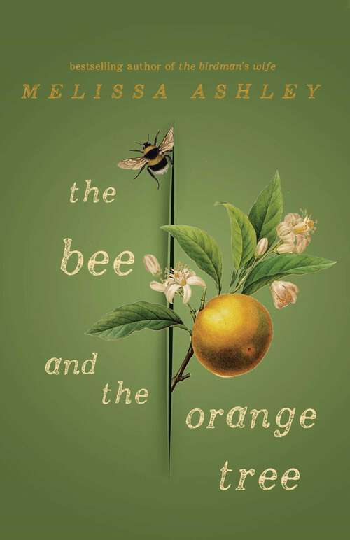 Book cover of Bee and the Orange Tree