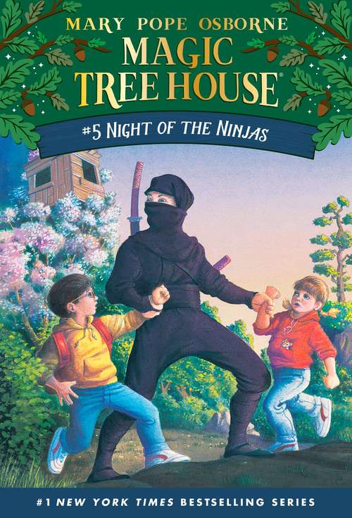 Book cover of Night of the Ninjas