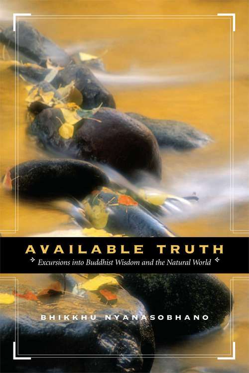 Book cover of Available Truth