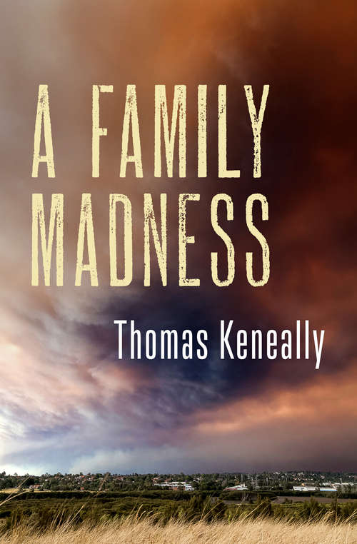 Book cover of A Family Madness