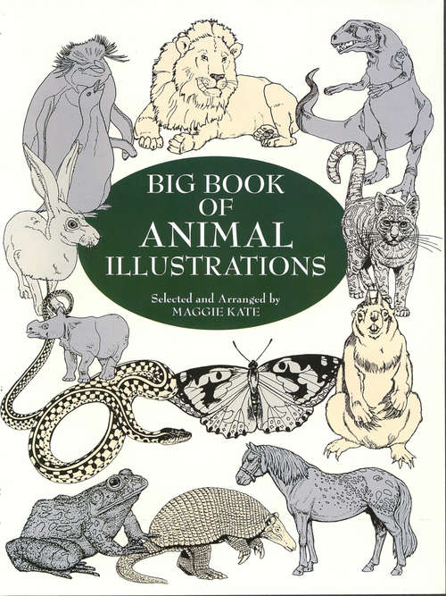 Book cover of Big Book of Animal Illustrations
