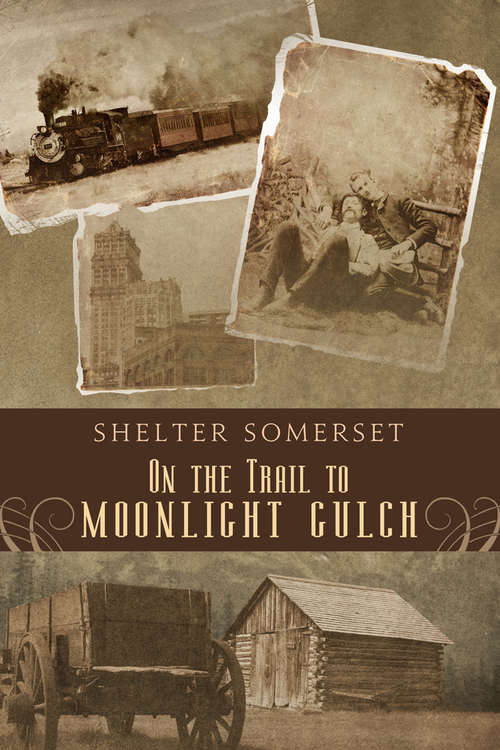 Book cover of On the Trail to Moonlight Gulch