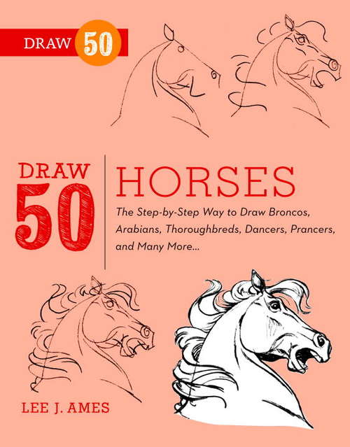 Book cover of Draw 50 Horses
