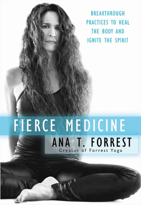 Book cover of Fierce Medicine