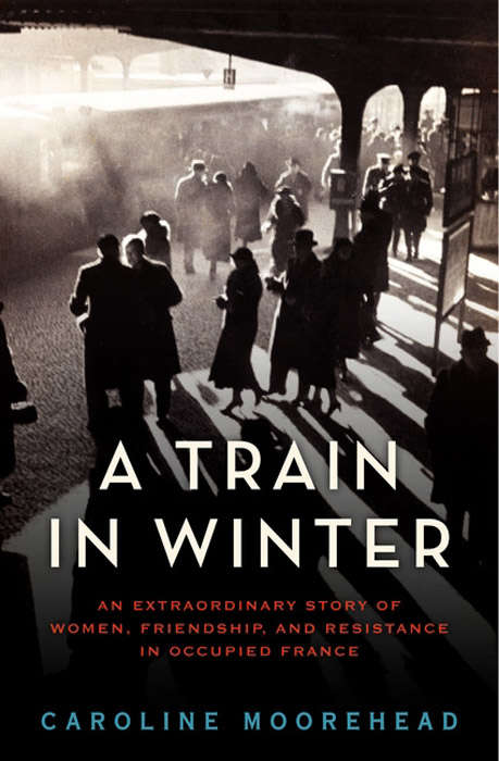 Book cover of A Train in Winter