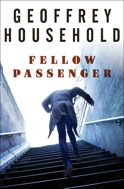 Book cover of Fellow Passenger