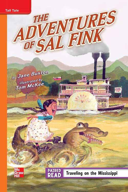 Book cover of The Adventures of Sal Fink