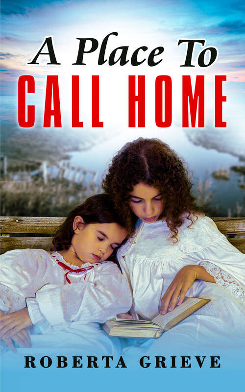 Book cover of A Place to Call Home
