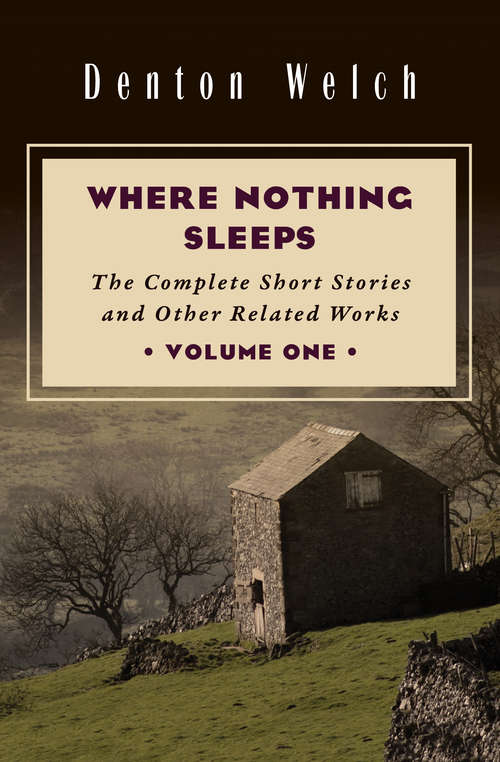 Book cover of Where Nothing Sleeps: The Complete Short Stories and Other Related Works (Where Nothing Sleeps #1)