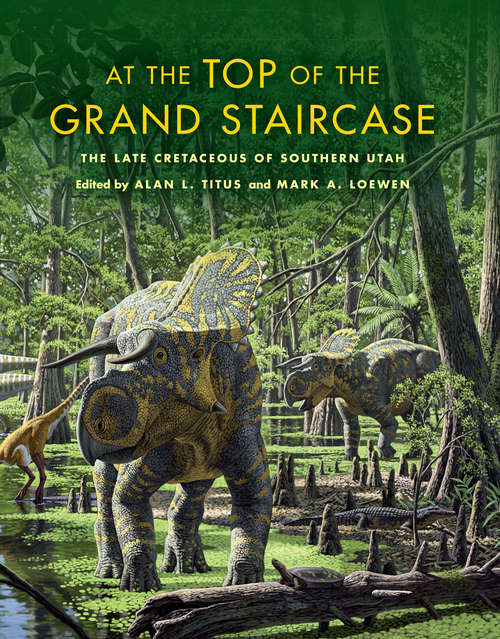 Book cover of At the Top of the Grand Staircase