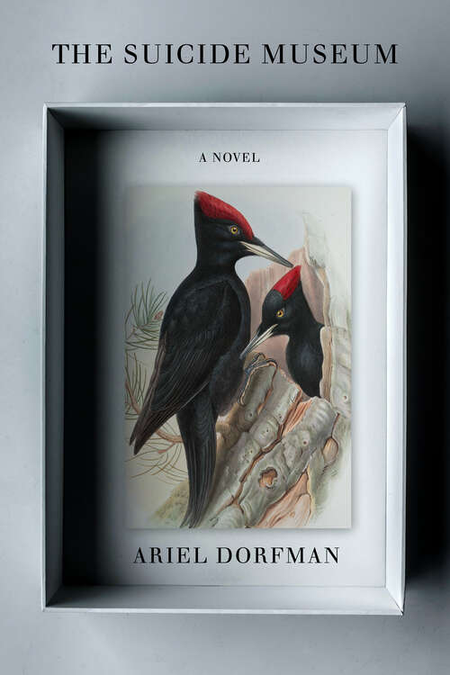 Book cover of The Suicide Museum: A Novel