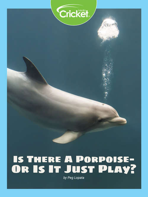 Book cover of Is There a "Porpoise"—Or Is It Just Play?