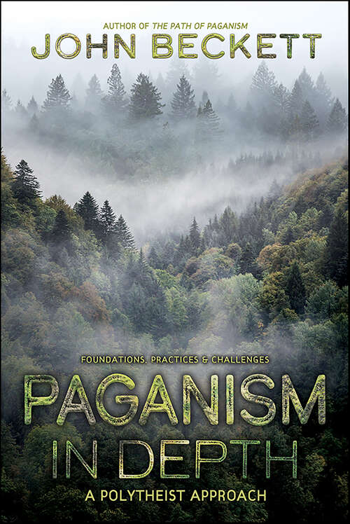 Book cover of Paganism In Depth: A Polytheist Approach