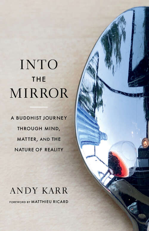 Book cover of Into the Mirror: A Buddhist Journey through Mind, Matter, and the Nature of Reality