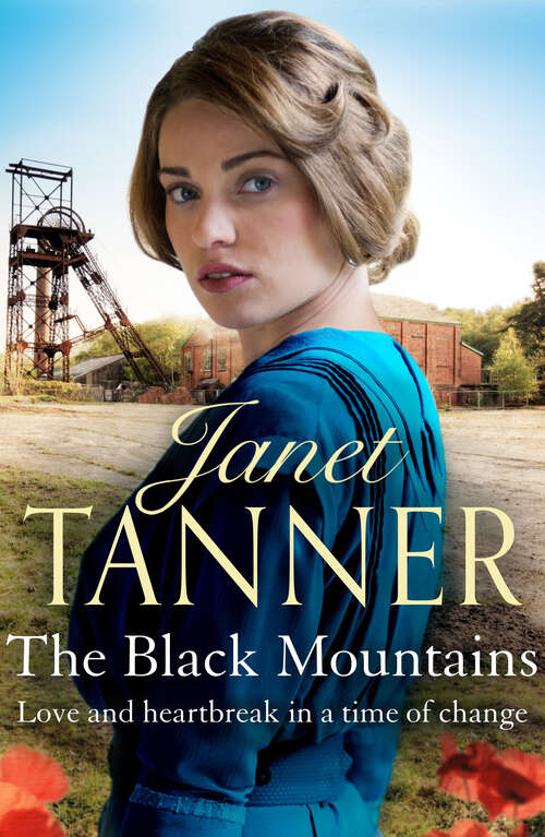 Book cover of The Black Mountains (Hillsbridge Sagas)