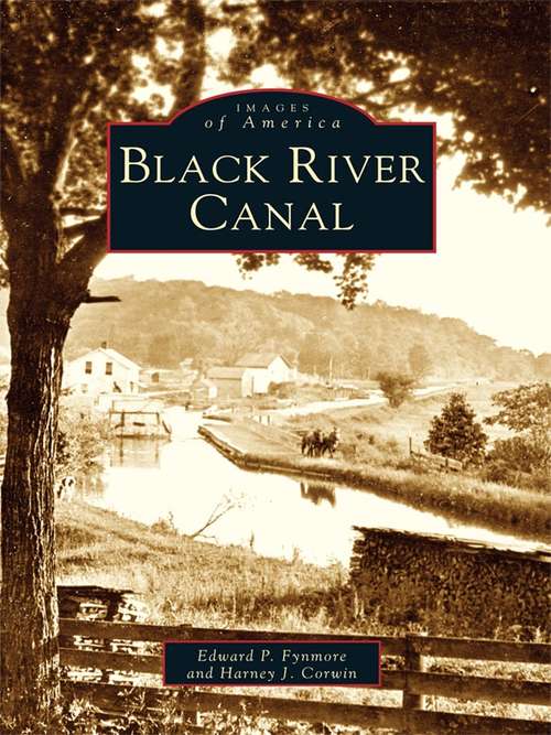Book cover of Black River Canal