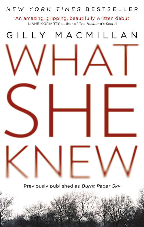Book cover of What She Knew