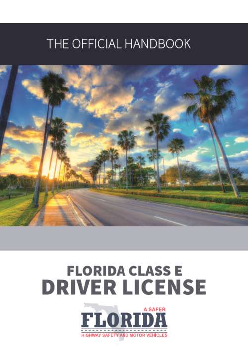 Book cover of Florida Class E Driver License: The Official Handbook