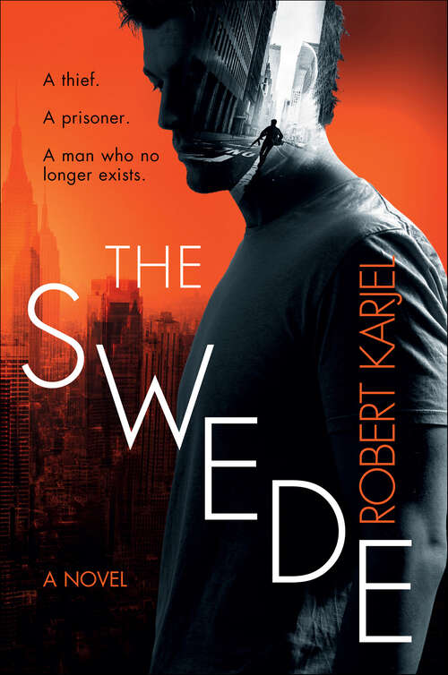 Book cover of The Swede: A Novel (Ernst Grip)