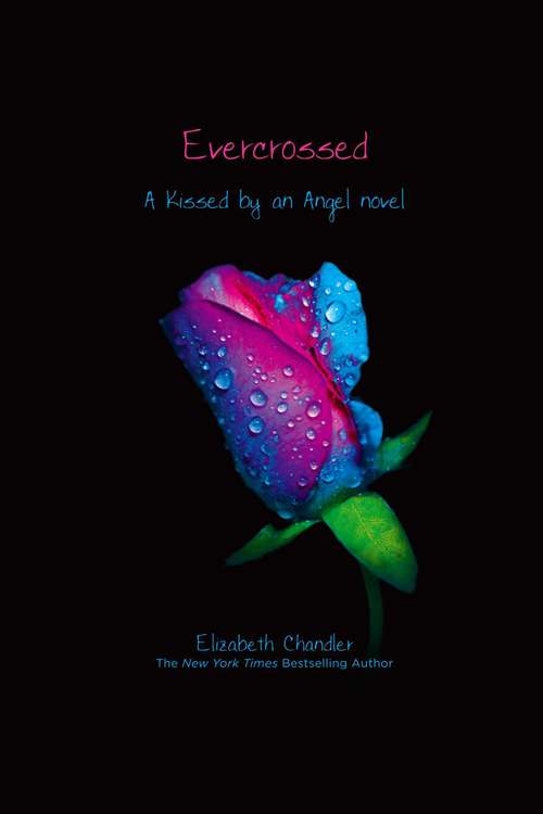 Book cover of Evercrossed