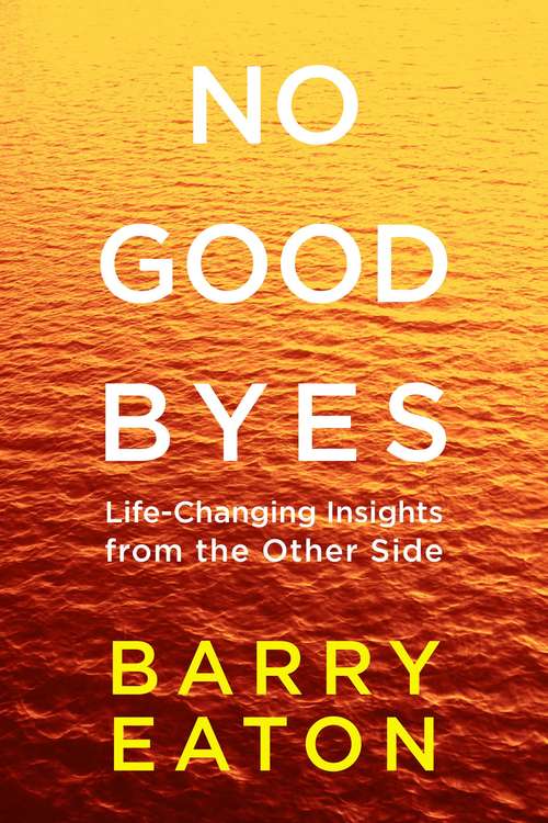 Book cover of No Goodbyes