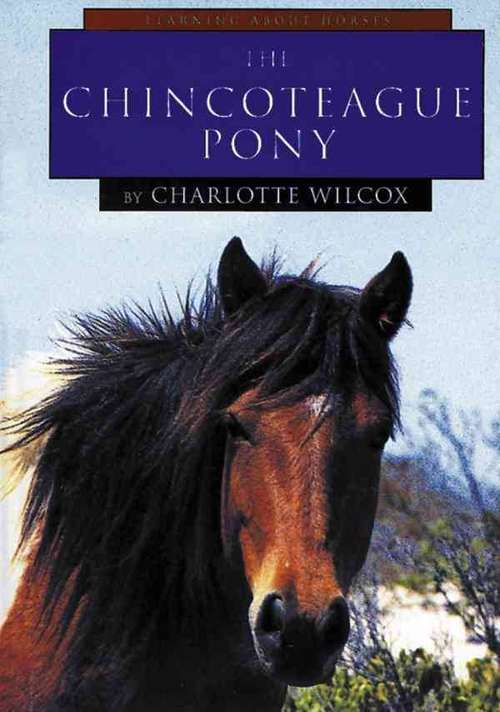 Book cover of The Chincoteague Pony (Learning About Horses)