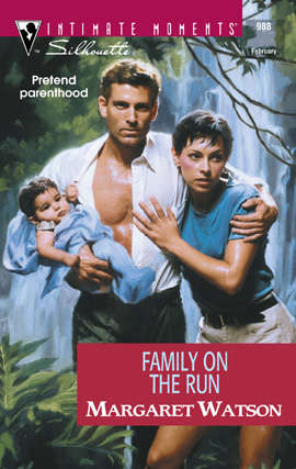 Book cover of Family on the Run