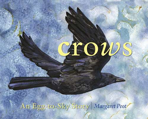 Book cover of Crows: An Egg-to-Sky Story