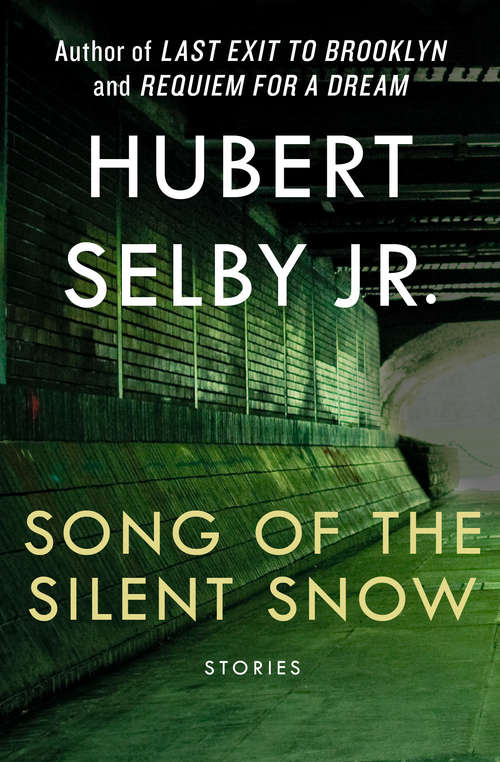 Book cover of Song of the Silent Snow