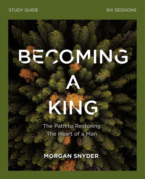 Book cover of Becoming a King Study Guide