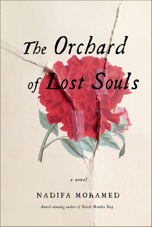 Book cover of The Orchard of Lost Souls: A Novel