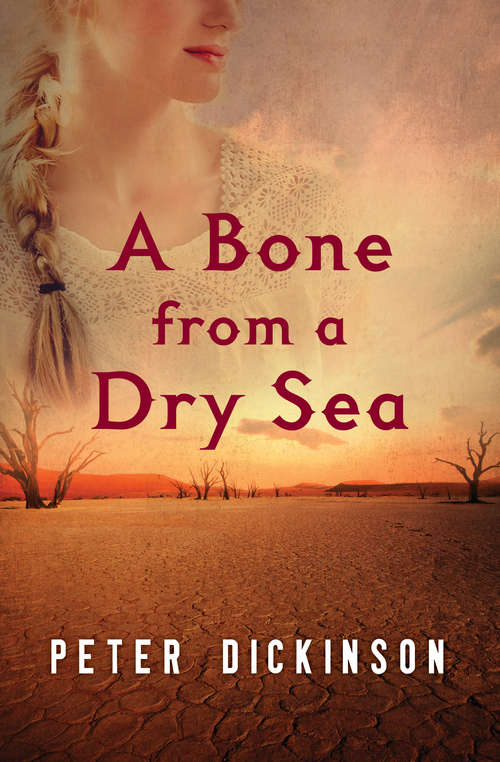 Book cover of A Bone from a Dry Sea