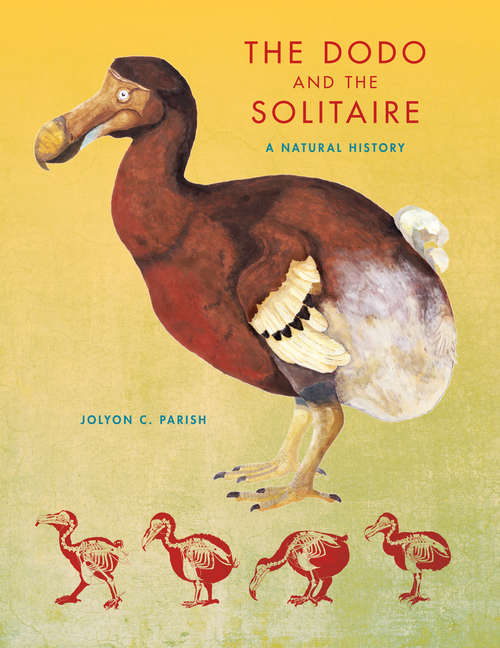 Book cover of The Dodo and the Solitaire