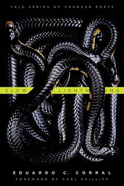 Book cover of Slow Lightning