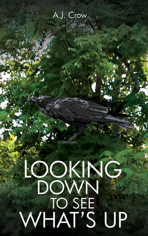 Book cover of Looking Down to See What’s Up